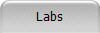 Labs