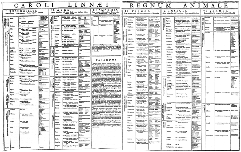 How To Write An Work Plan